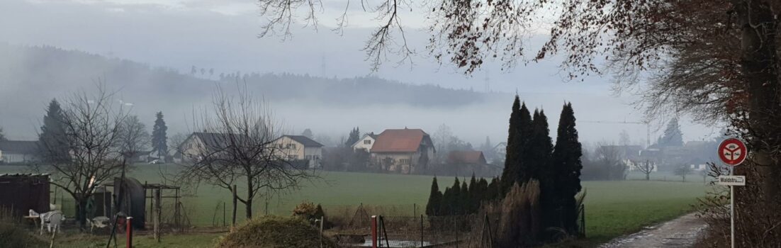 Nebel über Riniken