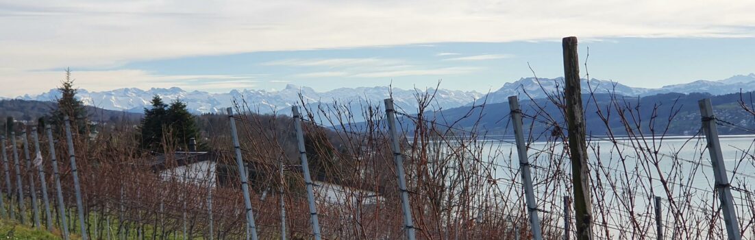 Hallwilersee mit Alpenkamm