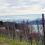 Hallwilersee mit Alpenkamm