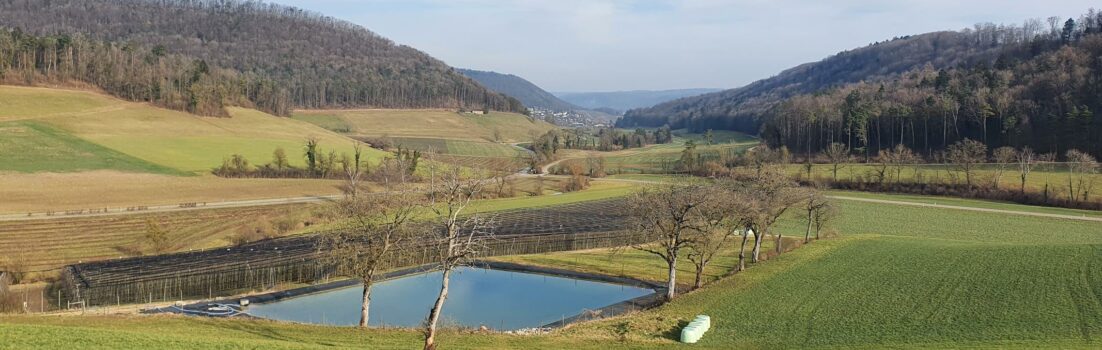 Blick von Ueberthal nach Remigen